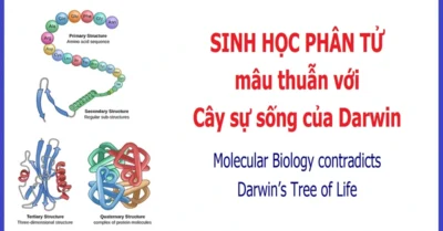 Sinh học phân tử mâu thuẫn với cây sự sống của Darwin