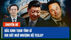 Sau một thời gian dài trấn áp, Bắc Kinh liên tục nhượng bộ Tesla vì toan tính gì?