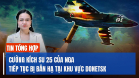 Ukraina đã bắn hạ một chiếc Su-25 của Nga ở khu vực Donetsk