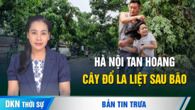 Thủ đô Hà Nội tan hoang, cây đổ la liệt sau khi bão Yagi quyét qua