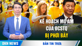 TT Trump muốn EU gửi quân tới Ukraina? Ông Tập ‘không mạo hiểm’ đến lễ nhậm chức của TT Trump?